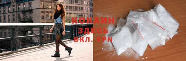 индика Армянск