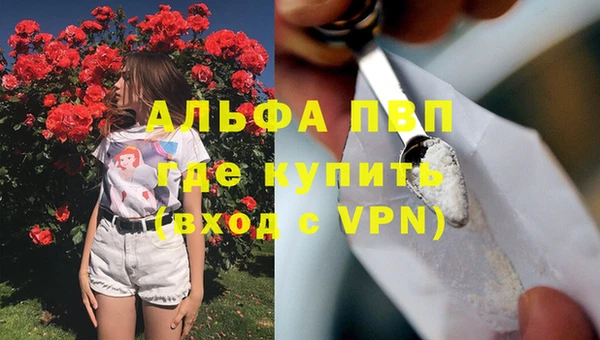 индика Армянск