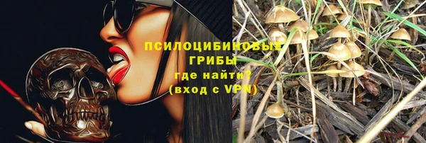 прущие грибы Покачи