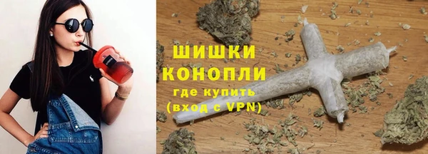 прущие грибы Покачи